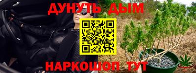 трава Партизанск