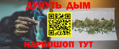 спиды Обь