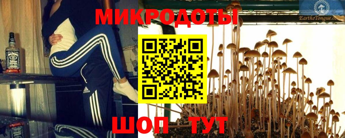 Тимашёвск  Псилоцибиновые грибы MAGIC MUSHROOMS  Псилоцибиновые грибы Psilocybine cubensis  Вход с VPN 